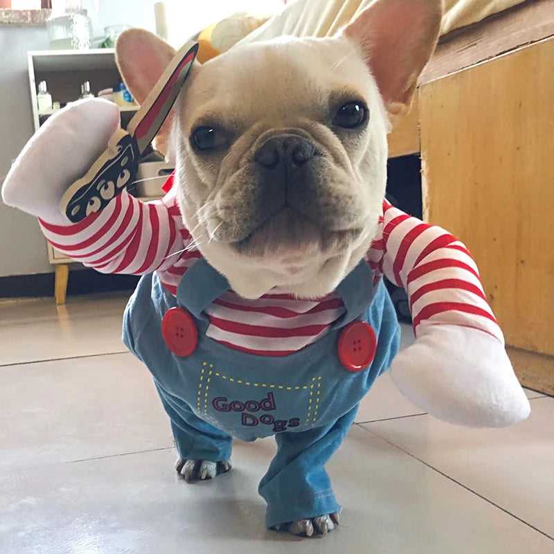 Chucky Pet Costume for Halloween