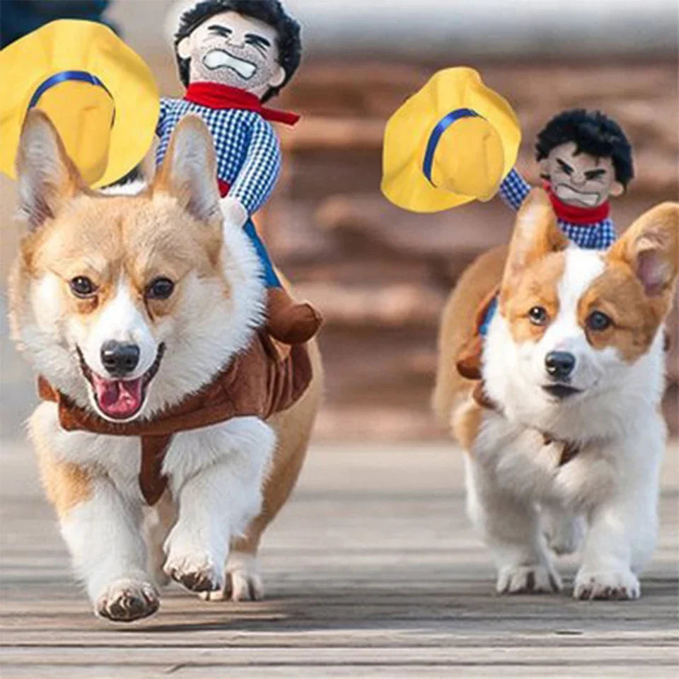 Halloween Cowboy Pet Costume