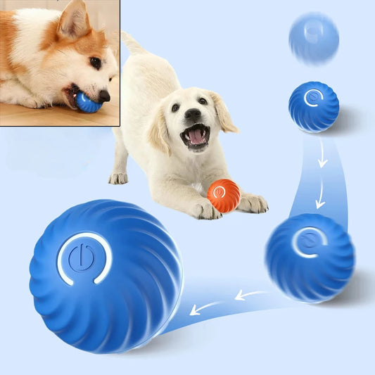 USB-Powered Interactive Smart Dog Ball Toy