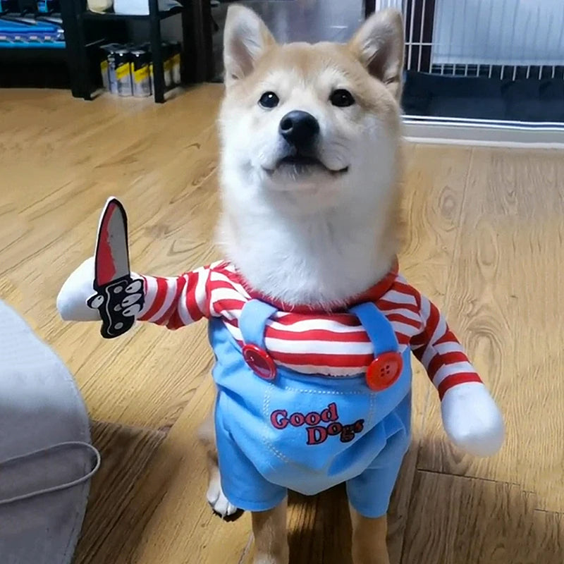 Chucky Pet Costume for Halloween