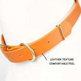 Waterproof Dog Collar