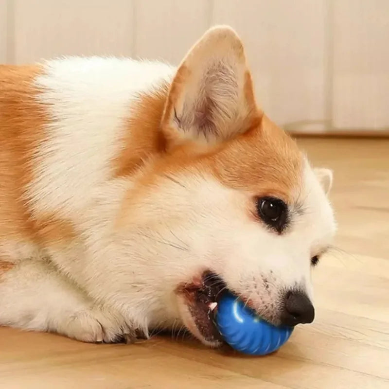 USB-Powered Interactive Smart Dog Ball Toy