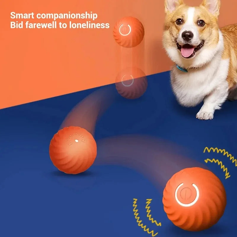 USB-Powered Interactive Smart Dog Ball Toy