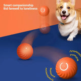 USB-Powered Interactive Smart Dog Ball Toy