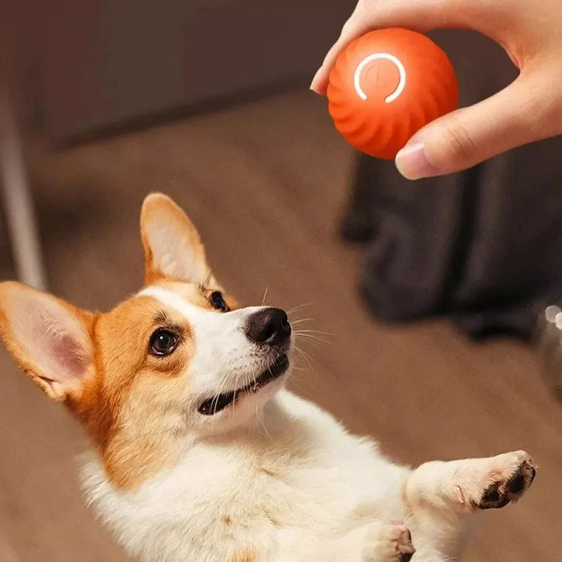 USB-Powered Interactive Smart Dog Ball Toy