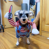 Chucky Pet Costume for Halloween